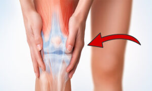 What is an Anterior Cruciate Ligament Injury?